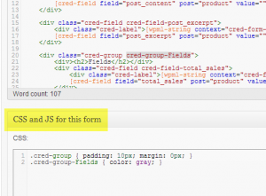 CSS and Javascript for the form
