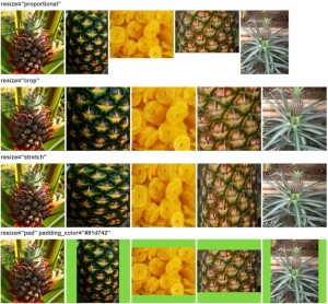 Image resize comparison