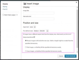 New image sizing options