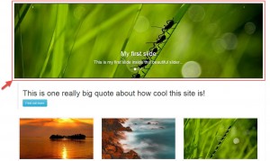 Slider Cell on the front-end