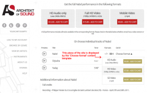 Making the items purchasable - the front-end end View