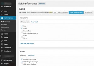single Performance edit screen