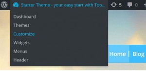 WordPress Customizer