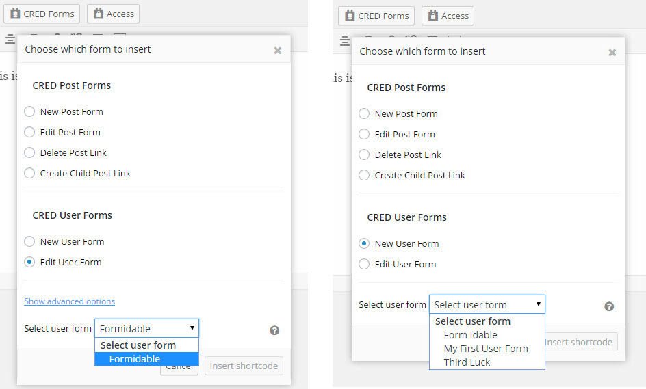 CRED User Form Insertion Dialog