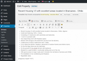 Single property in the WordPress backend - English version