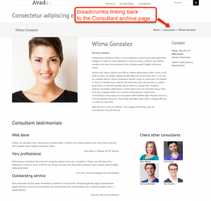 Single Consultant page created with Toolset Layouts. The breadcrumbs include a backward link to the Consultant archive.