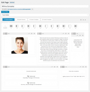 Consultant page created in Avada. Editing Consultant data is mixed with the displaying and styling.