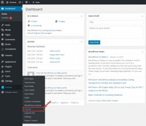 Toolset menu in the main WordPress menu