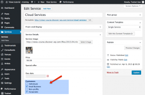 Custom field of the Service Post Type - back-end view
