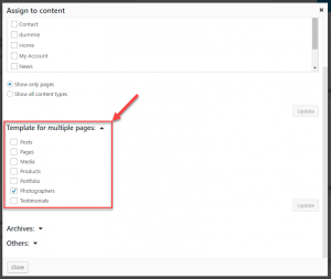 Assign a layout as a template for posts of any custom post type