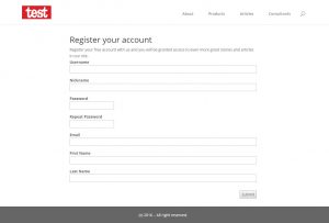 User Form example on the front-end