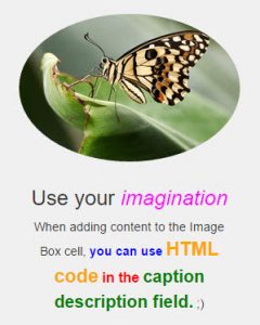 Example of an Image Box cell with some custom styling options