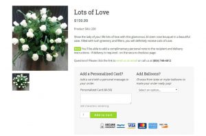 Part of a single product page example