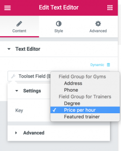 Toolset custom fields and Elementor