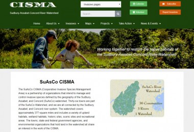 cisma