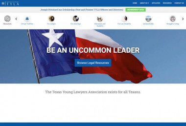 Texas Young Lawyers Association (1)