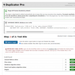 duplicator-error1.png