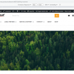 Screenshot 2022-03-18 155628.png