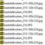 server.JPG