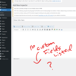 Custom Groups for Inspectors missing on New Post page.png