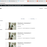 Schermafbeelding 2024-10-28 om 17.13.41.png